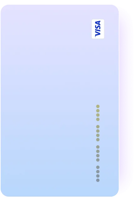 Debit VISA card